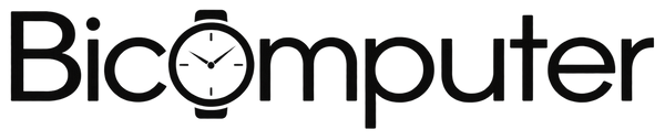Bicomputer