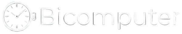 Bicomputer